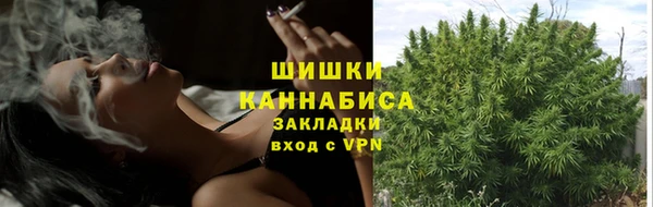 прущий лед Осташков