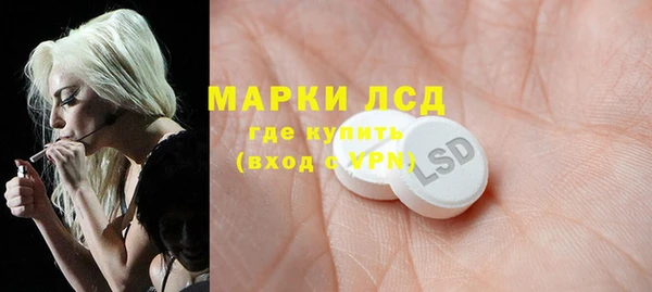 ПСИЛОЦИБИНОВЫЕ ГРИБЫ Алзамай