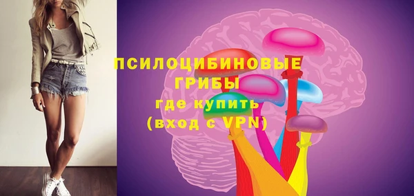 прущий лед Осташков