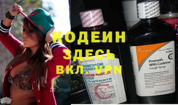 прущий лед Осташков