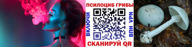 Галлюциногенные грибы GOLDEN TEACHER  darknet формула  Кондопога  купить наркотик 